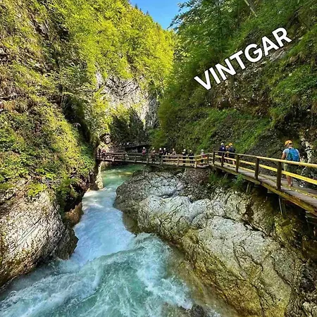 Apartma Vintgar * Zgornje Gorje