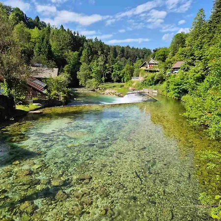 Apartma Vintgar *